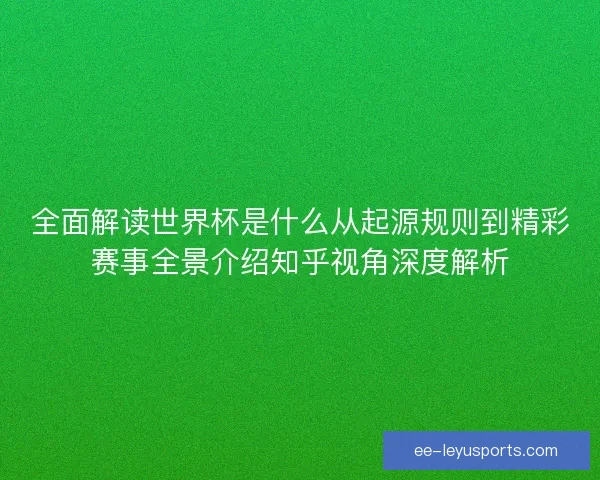 全面解读世界杯是什么从起源规则到精彩赛事全景介绍知乎视角深度解析